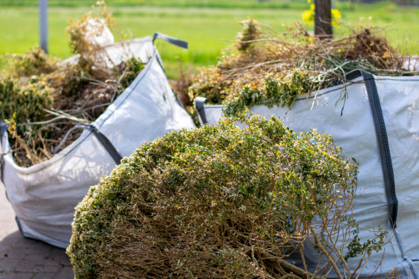 Best Dumpster Rental Services  in Elk Creek, KY